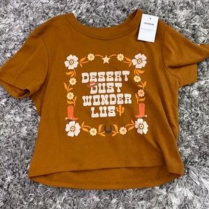 Desert dust wonder dus